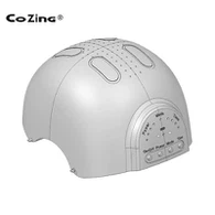 ফটোবায়োমডুলেশন ব্রেন